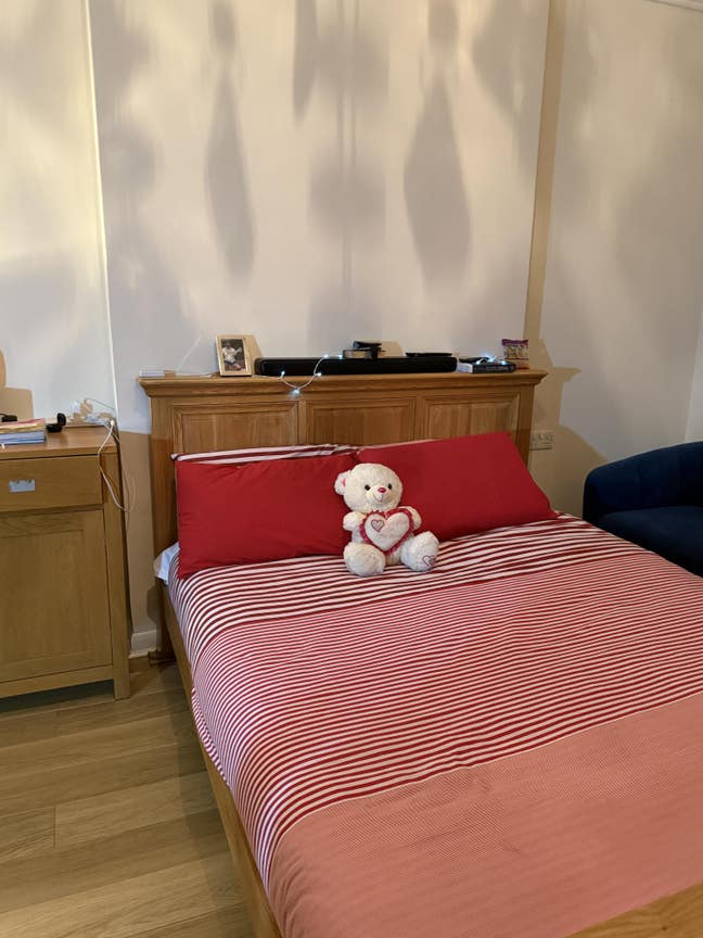 Extra Large Luxurious Room to rent for 1 Month Dec Main Photo