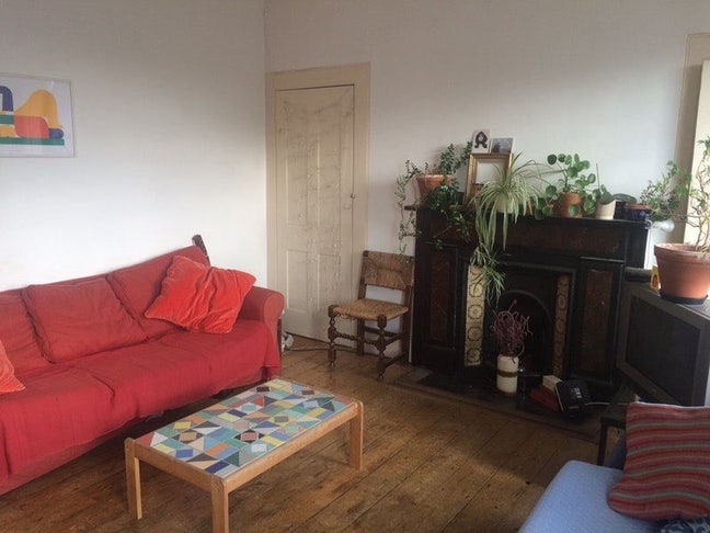 Vibes. Stoke Newington  Main Photo