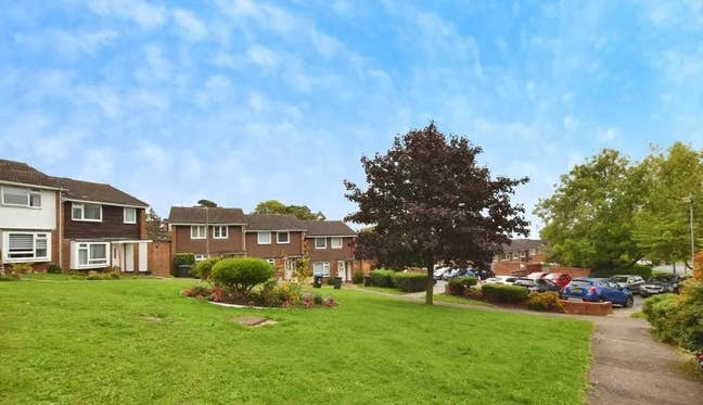 Bright cosy home, minutes from the Central Line. Main Photo
