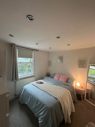 Lovely Double Room in a Cosy Herne Hill Flat Main Photo