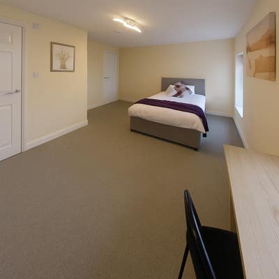 A Bright, Well-Kept Room in a Peaceful House Share Main Photo