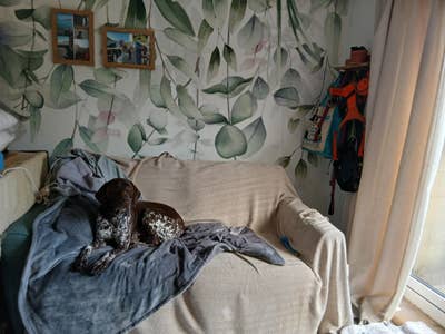 One bedroom bungalow  Main Photo