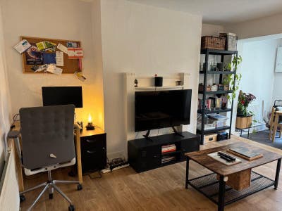 Large one-bed flat De Beauvoir Islington Dalston Main Photo