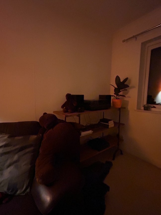 West end Room Available 1st December Main Photo