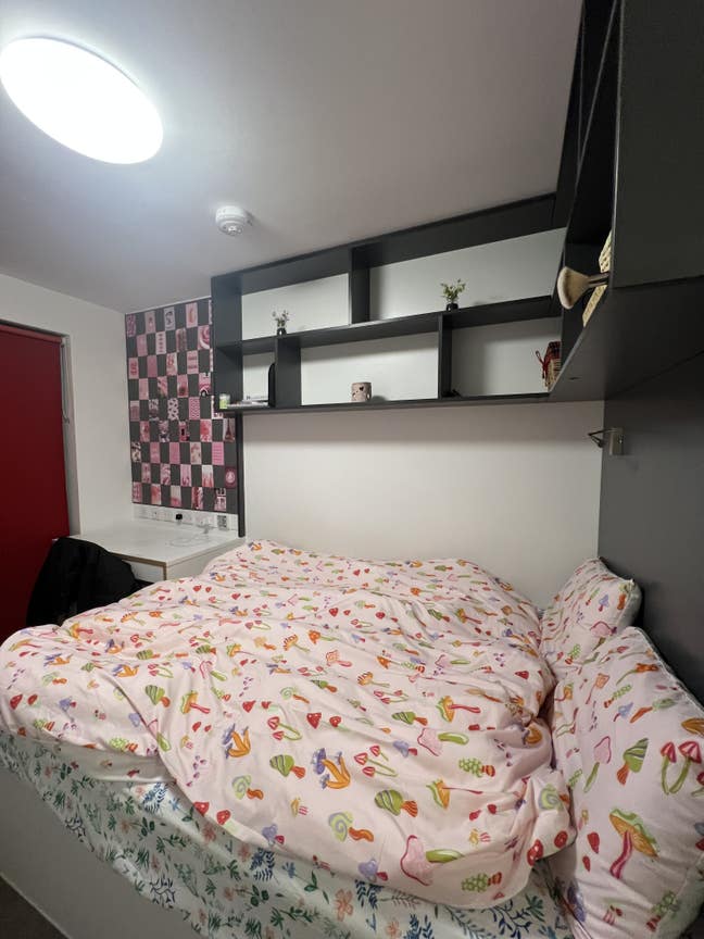 Bright and comfortable room available to rent. Main Photo