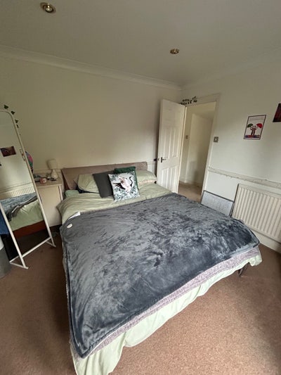 Dec - Jan double room in North London house Main Photo