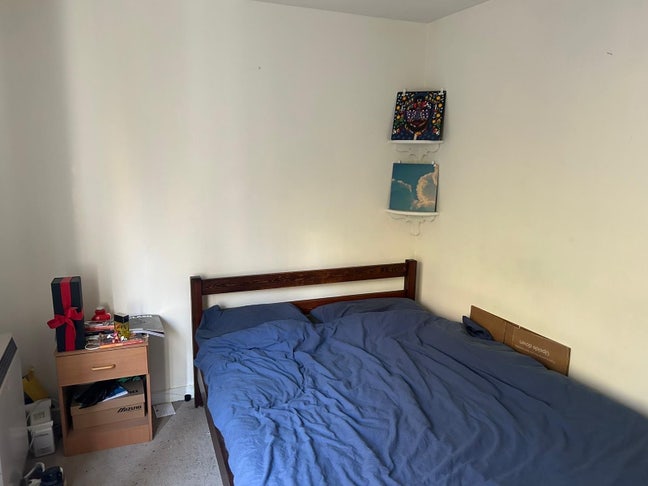 New Bow Quarter Housemate! Main Photo