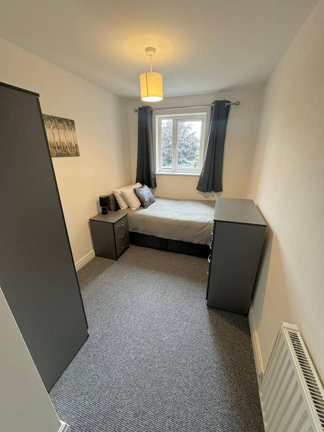 Cosy room in well-managed apartment share  Main Photo