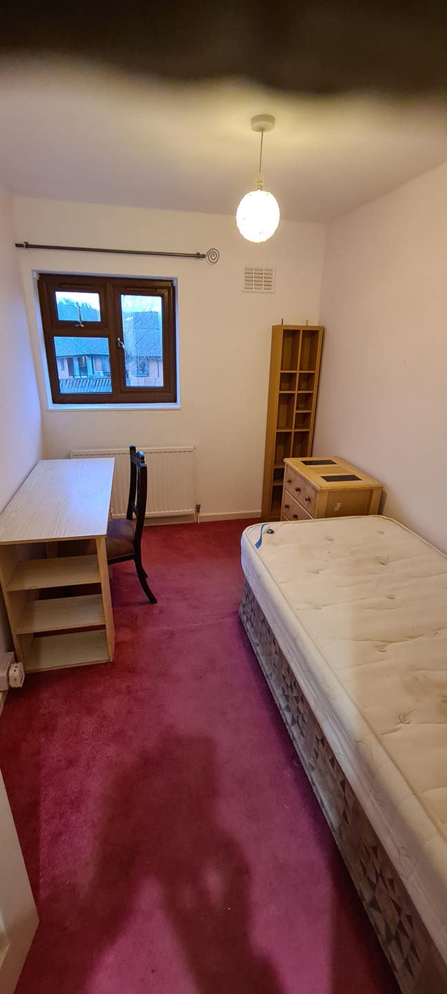 Medium sized room available now Main Photo