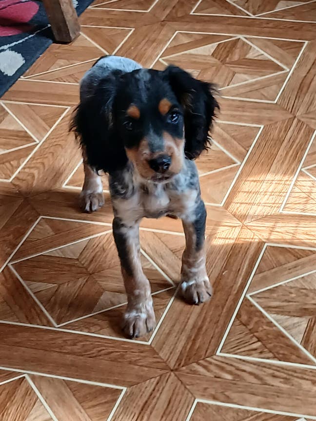 Large single room in friendly family home with our Main Photo