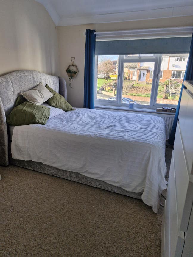 Comfortable and Convenient Accommodation  Main Photo