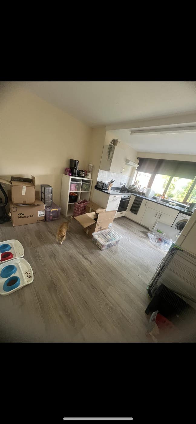 1 double bedroom available in rushden  Main Photo