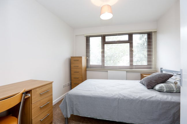 Lovely room available, take a look! (ELA) Main Photo