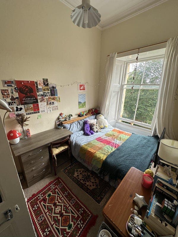 Warm, cosy Meadows room Main Photo