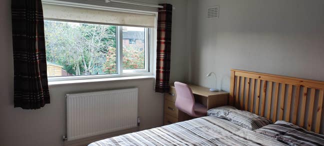 Large room in YO24. Main Photo