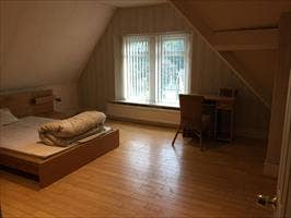 Beautiful King size room- Perfect Value in S1/S2  Main Photo