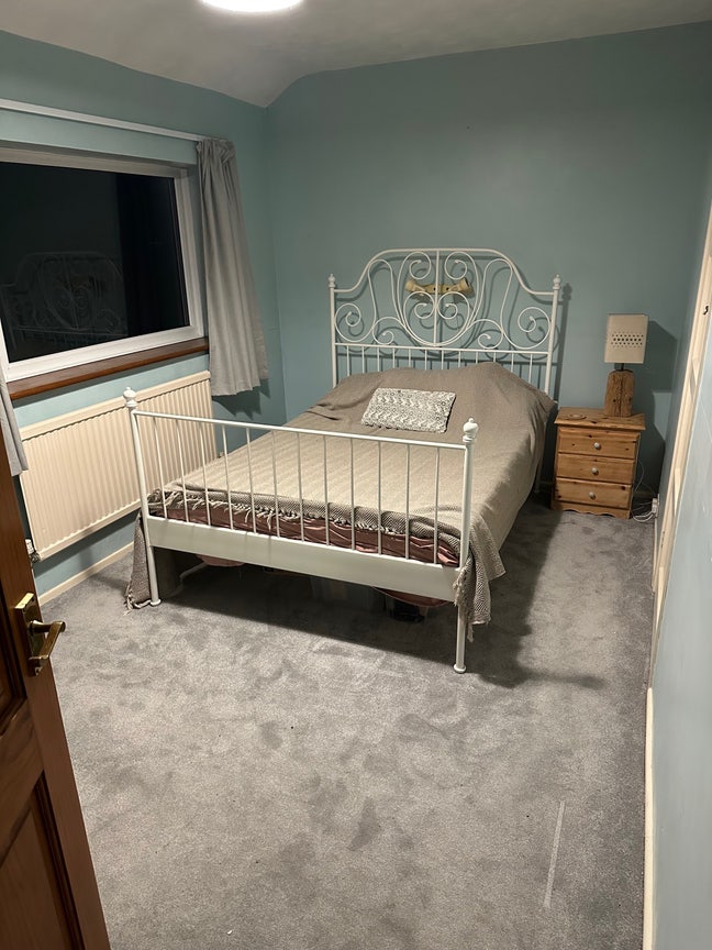 House mate wanted 4 a friendly plant loving owner Main Photo