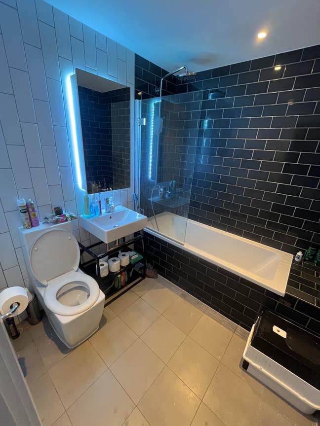 Modern Studio Available – Move In This Weekend Main Photo