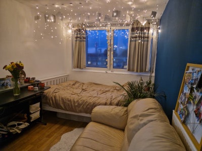 Room in Deptford  Main Photo