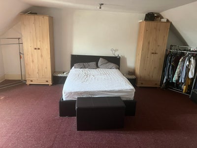 ‼️Room for Rent‼️Female Only Wellington Highstreet Main Photo