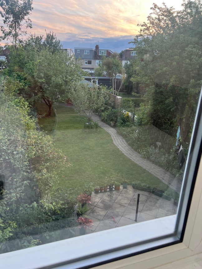 Double room & single room available  Main Photo