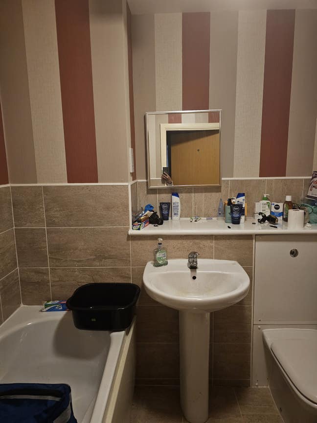 1 room in a 2bed/2bath shared apartment Main Photo