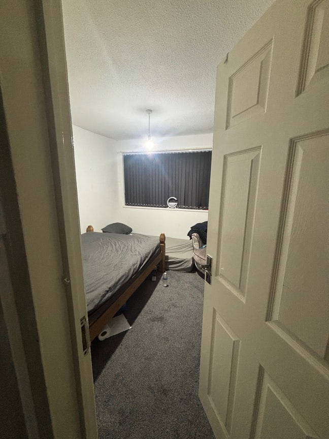 Room Available – Whole Room or Shared Option Main Photo