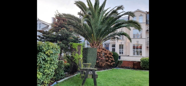 Single Room to Rent in Paignton - near beach etc Main Photo