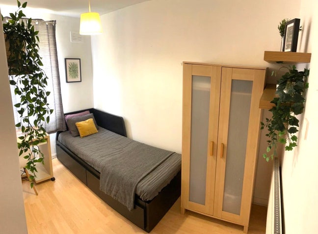 Cleaning service twice a week.  Main Photo