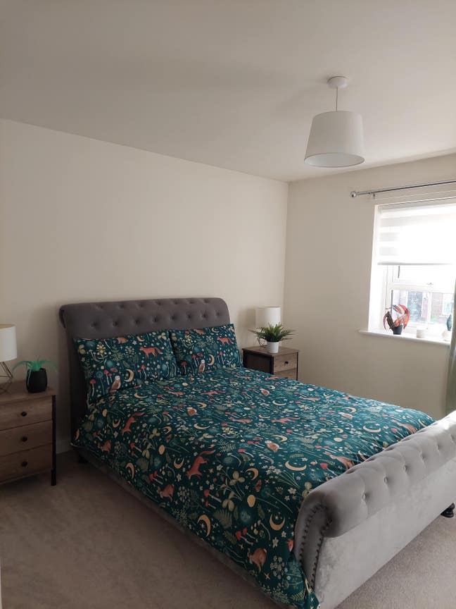 Double room close to North Devon District Hospital Main Photo