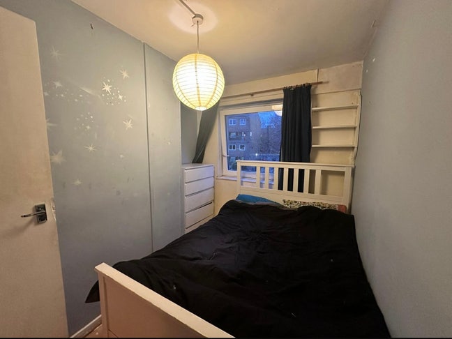 Looking for flatmate in our Camberwell flat <3 Main Photo