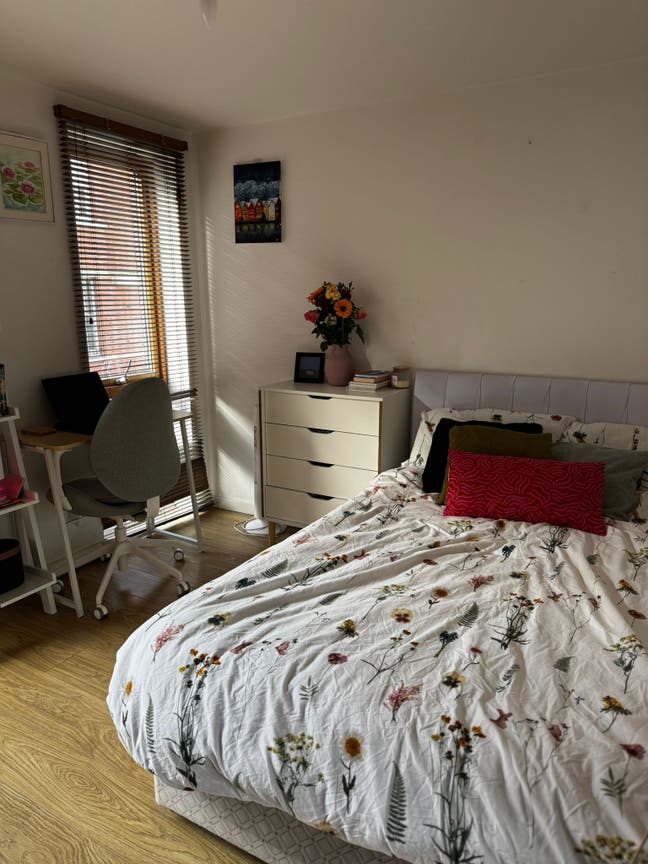Double room in Clapham - Available in January Main Photo