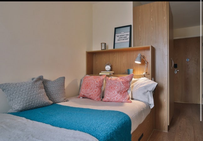 Dorchester House Room Available!  Main Photo