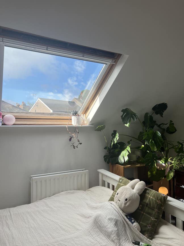 Spacious Attic Room In Crookes - Free Road Parking Main Photo