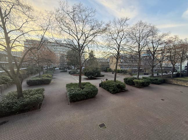 🍁 Bright room in chic flat w/ balcony + storage  Main Photo