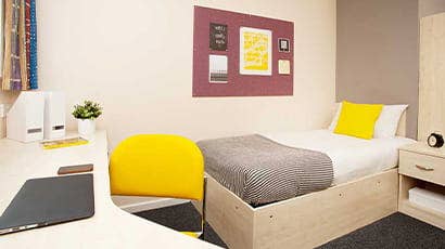 Urgent tennat replacement for a cozy accomodation  Main Photo