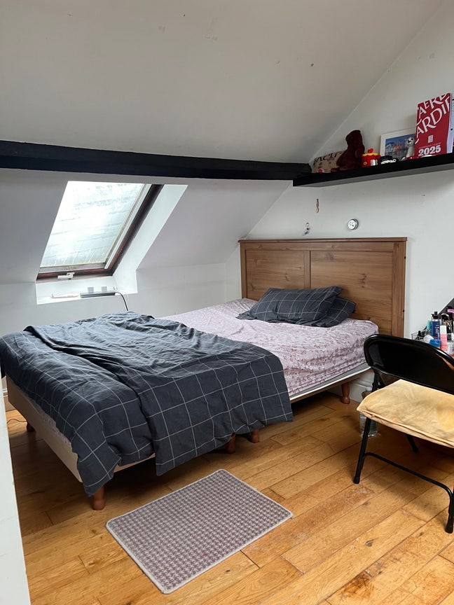 Spacious double room available in Cathays Main Photo