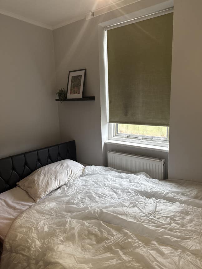 Beautiful single room Main Photo