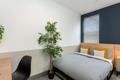 💎Dual Studio & Single Ensuite, DE22📣 Main Photo