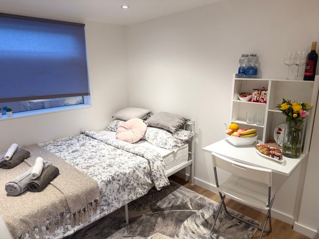 Newly renovated mini studio flat Main Photo