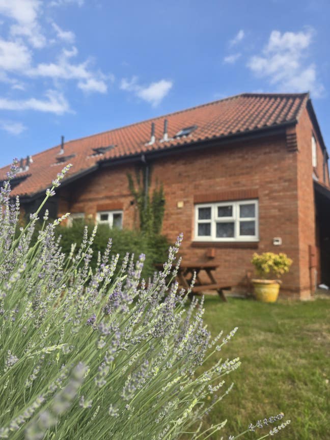 Beautiful home to share Main Photo