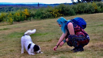 Open-minded animal-lover wanted  Main Photo