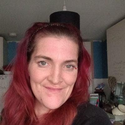 I have very well behaved American Akita female dog Main Photo