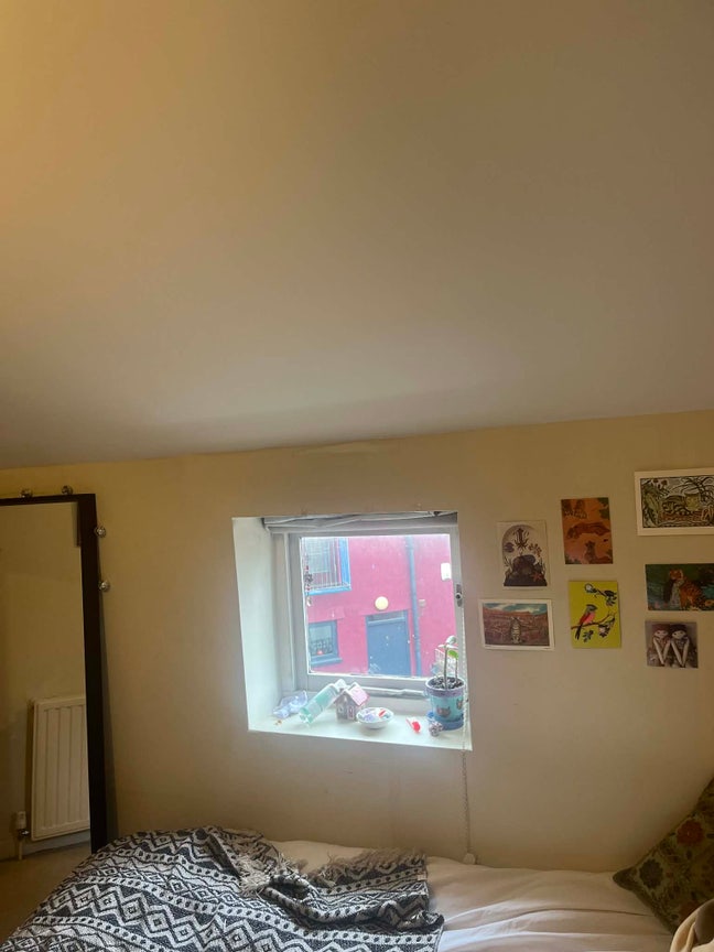 Room in lovely Montpelier house Main Photo