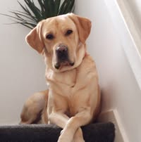 Single room wanted Main Photo