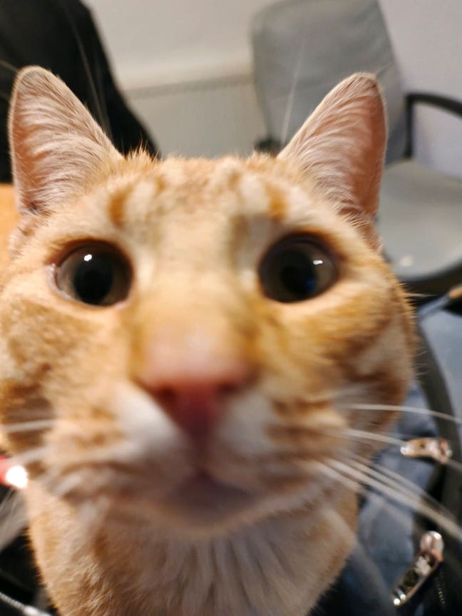 Shared Room in a shared house Main Photo