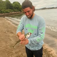 Looking for acomdation  Main Photo