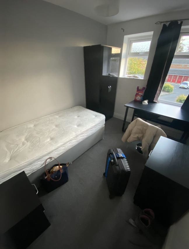 Cute Room for Rent Main Photo