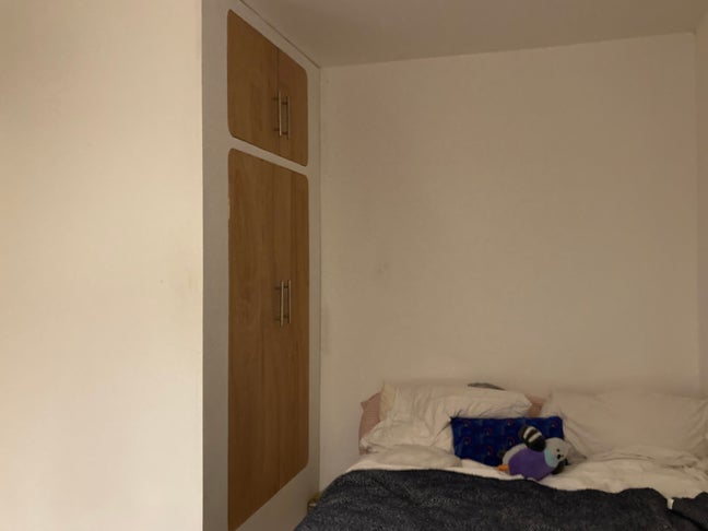 Short Let: Jan - Feb. Double Room in SE20  Main Photo