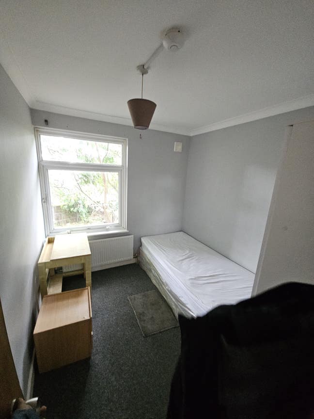 Single room with single bed available for immediat Main Photo